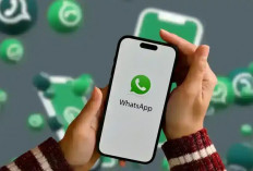 WhatsApp Rilis Fitur Scam Alert, Kini Chat Mencurigakan Bisa Terdeteksi Otomatis
