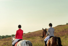Olahraga Berkuda Kian Berkembang, Atlet Nasional Tunjukkan Prestasi Positif