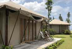 Wisata Glamping di Banten: Menginap Mewah di Tengah Alam Liar