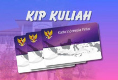 KIP Kuliah 2026 Tembus Rp15,3 Triliun, Seberapa Besar Dampaknya bagi Mahasiswa?