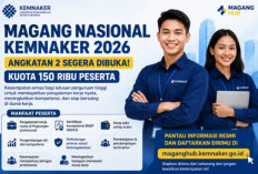 Peluang Karier Makin Terbuka! MagangHub 2026 Kini Jangkau Lulusan Pendidikan Profesi