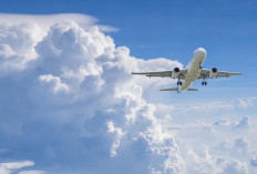 Boarding Pesawat, Viral Pramugara Dipukul Penumpang Rute Lombok-Jakarta