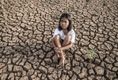 Super El Niño 2026 Mengintai, Indonesia Bersiap Hadapi Ancaman Kekeringan hingga Lonjakan Harga Pangan
