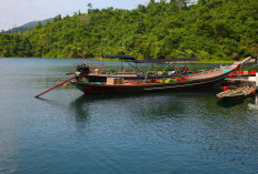 Destinasi Cagar Alam Taman Nasional Ujung Kulon
