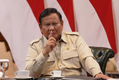 Kuliah Gratis di PTN Mulai Dihitung, Prabowo Bentuk Tim Khusus Dipimpin Pratikno