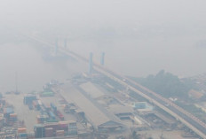 Darurat Karhutla, Kualitas Udara Palembang Capai Level Berbahaya dan Jadi yang Terburuk di Indonesia