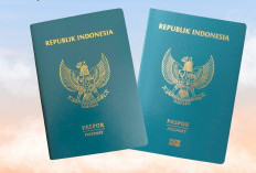 Per Desember 2025, Ini Daftar Negara yang Bebas Visa untuk Paspor Indonesia
