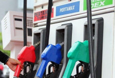 Pasokan BBM dan Harga Energi Perlu Dipantau, Dampaknya Menjalar ke Biaya Hidup
