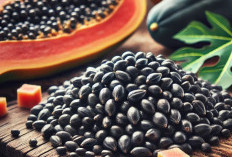 Jangan Buang Bijinya! Simak 5 Manfaat Tersembunyi Biji Pepaya untuk Kesehatan Tubuh