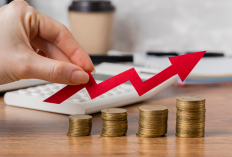 BPS Rilis Inflasi Provinsi Tertinggi Awal 2026