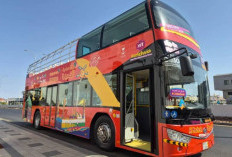 Bus City Sightseeing, Cara Mudah Jemaah Haji Menjelajahi Wisata Sejarah Islam di Madinah