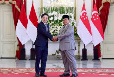 Kunjungan Kenegaraan PM Singapura Lawrence Wong ke Jakarta: Apa Saja Kesepakatan Strategis yang Dibahas