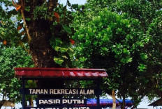 Pesona Pantai Pasir Putih Carita: Destinasi Wisata Andalan Banten