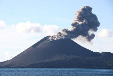 Dari Dasar Laut hingga Jadi Gunung Aktif, Begini Perjalanan Anak Krakatau