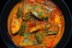Menyesap Pedas-Asam Ikan Manyung & Sembilang: Surga Tersembunyi di Tepian Kali Tikung Sidoarjo