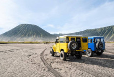Bromo Dibuka Lagi, Usai Kebakaran 1.121 Hektare Warga Diminta Tak Lengah