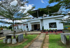 Cafe Sawah Widey: Ngopi Asri dengan Latar Gunung Pulosari dan Kelinci Lucu di Menes