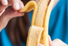 Jarang Diketahui, Ini Manfaat Luar Biasa Kulit Pisang bagi Kesehatan dan Kecantikan