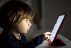 28 Juta Akun Anak Dilindungi PP Tunas, Roblox Paling Banyak Ubah Sistem