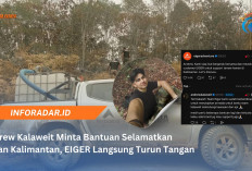 Andrew Kalaweit Minta Bantuan Selamatkan Hutan Kalimantan, EIGER Langsung Turun Tangan