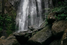 Curug Cinoyong Pandeglang: Air Terjun di Pandeglang Dijamin Bikin Puas