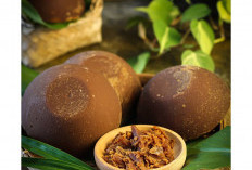 Gula Aren Khas Malingping Lebak Banten, Pemanis Alami yang Tetap Bertahan di Tengah Modernisasi