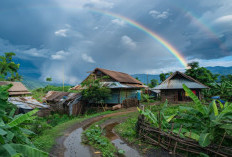 Sidang Kecil di Ruang Besar Bernama Kampus: Catatan KKN dari Ruang Ujian Hingga Pesisir Karangsepi