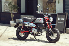 Honda Monkey 2026 Makin Stylish! Warna Baru dan Jok Retro Bikin Motor Hobi Ini Semakin Ikonik