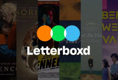 Netflix Dikabarkan Incar Letterboxd, Nasib Aplikasi Favorit Pecinta Film Jadi Sorotan