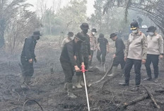 Teknologi Serbuk Pati Singkong Diandalkan Jinakkan Kebakaran Gambut di Kalteng