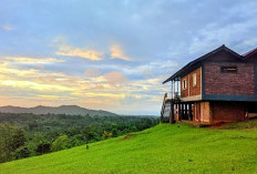 Banten Memanggil! Ini 5 Spot Wisata 'Hidden Gem' Paling Aesthetic Buat Healing Ala Gen Z