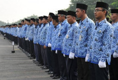 Pajak ASN Melonjak Hingga Rp9,16 Triliun, Apa yang Sebenarnya Terjadi?