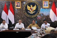 Harga Singkong Petani Naik, Mentan Amran Segera Siapkan Ekspor Mocaf  Baca artikel CNN Indonesia 