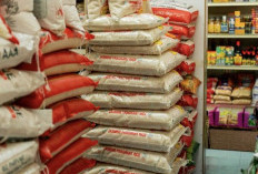 Harga Bahan Pokok Jadi Sorotan Jelang November, Beban Belanja Rumah Tangga Perlu Dicermati