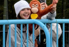 Lisa BLACKPINK Kunjungi “Si Bayi Monyet Viral” di Jepang, Bawa Boneka Orangutan yang Bikin Netizen Gemas