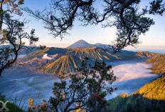 Sambut Ritual Yadnya Kasada 2026, Kawasan Wisata Gunung Bromo Ditutup Total Mulai 30 Mei