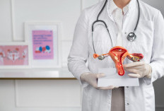 Sama-Sama Kuliah Mahal, Kenapa Gaji Dokter di Indonesia Bisa Jomplang Banget?
