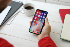 Cari Cuan dari HP! Ini 4 Aplikasi Survei Penghasil Uang Terpercaya