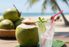Bukan Hanya Air Biasa Air Kelapa Kaya Manfaat, Dukung Pemulihan Alami Tubuh