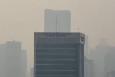 Langit Jakarta Tampak Kelabu, BMKG Jelaskan Fakta Asap Karhutla dan Citra CO NASA