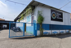 6 Juta Data MBG Dobel dan 414 Dapur Terindikasi Fiktif, BGN Perketat Pengawasan