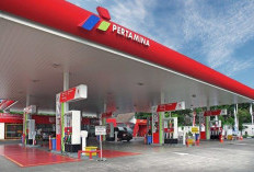 Harga BBM Nonsubsidi Resmi Naik per 1 Maret 2026 Di Semua SPBU, Ini Rinciannya