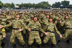 SK Manajer Kopdes Terbit, Jadi Pegawai BUMN Agrinas dengan Kontrak 2 Tahun