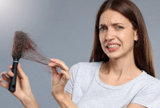 Rambut Rontok Tak Selalu Karena Stres, Bisa Jadi Tanda Tubuh Kekurangan Nutrisi