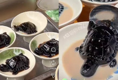 Mengenal Guilinggao, Jeli Herbal Khas China Bentuk Kura-Kura Unik yang Viral
