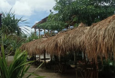 Dewa Laut Carita: Rahasia Seafood Segar Sunset Banten yang Bikin Nagih!