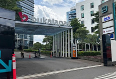Bukalapak PHK 594 Karyawan, Fokus Tinggalkan E-Commerce dan Beralih ke Bisnis Digital