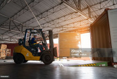 Panduan Memilih Forklift: Harga Forklift, Hand Forklift, dan Rental Forklift untuk Berbagai Industri