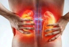 Jangan Anggap Sepele! 5 Tanda Ginjal Mulai Rusak yang Sering Diabaikan