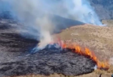 Lahan Terbakar di Gunung Bromo Terus Meluas, BNPB Intensifkan Upaya Pemadaman
